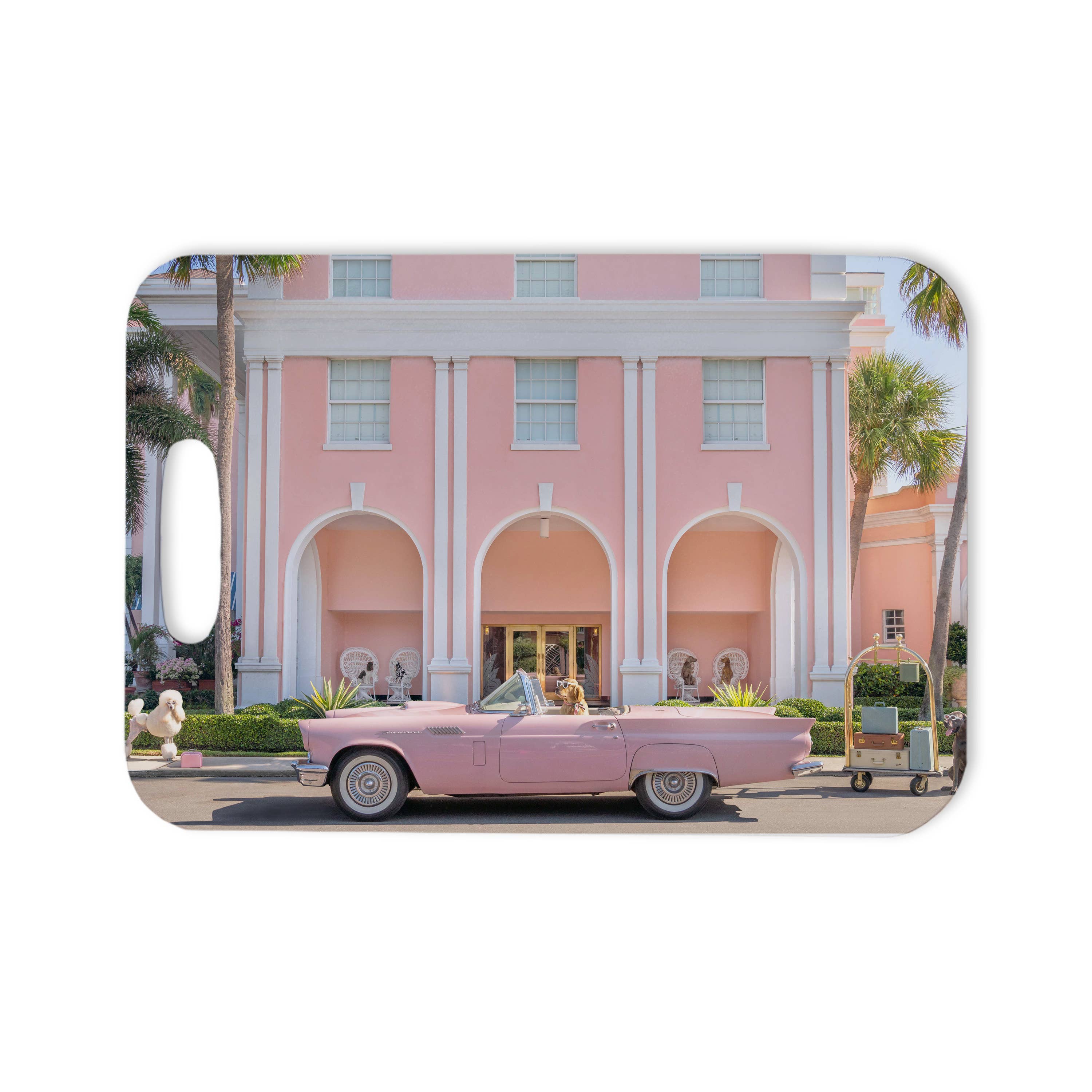 Bag Tag - Spring in Palm Beach