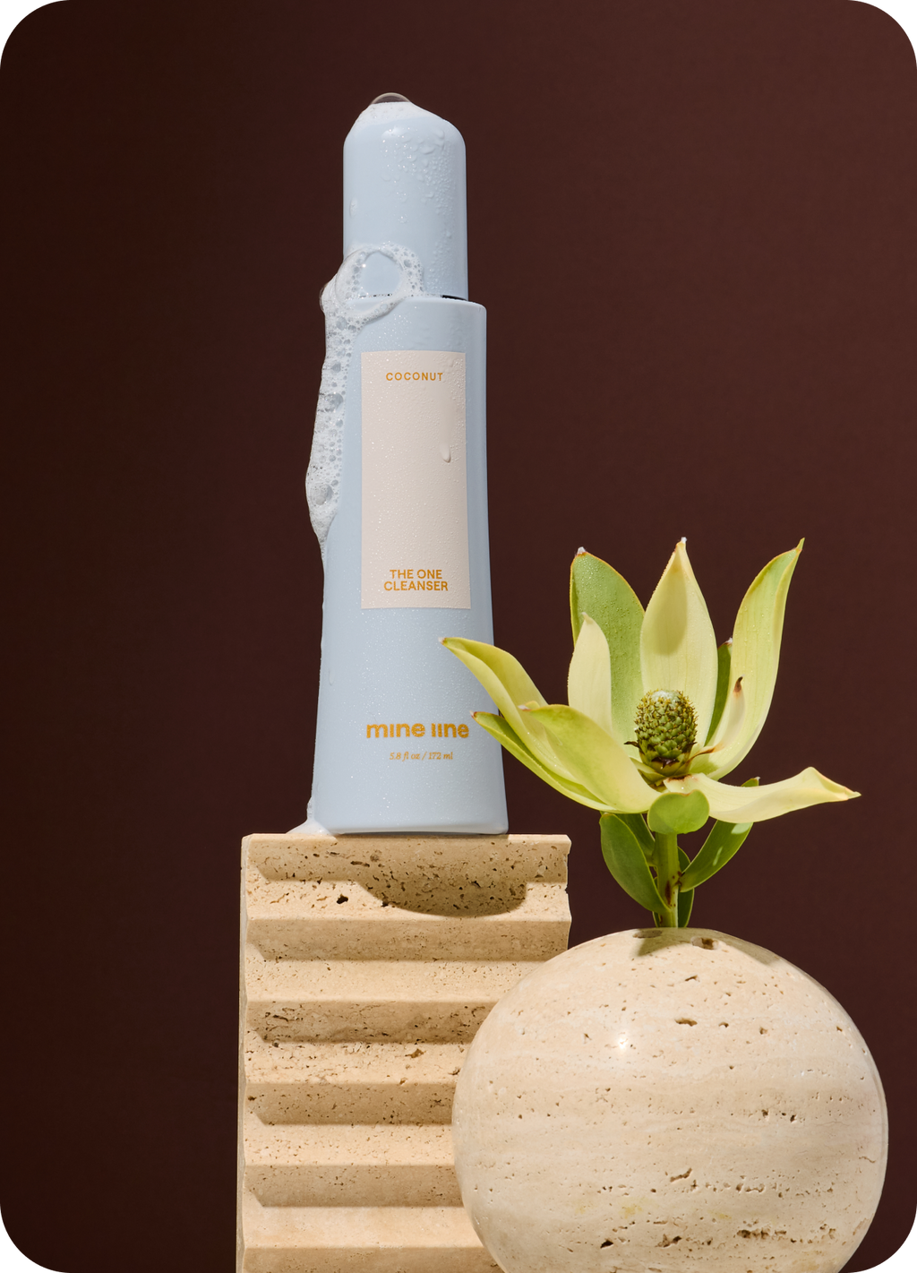 The One Cleanser