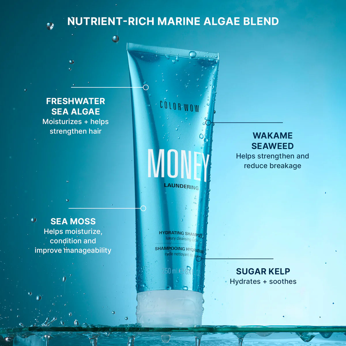 Money Laundering Hydrating Shampoo