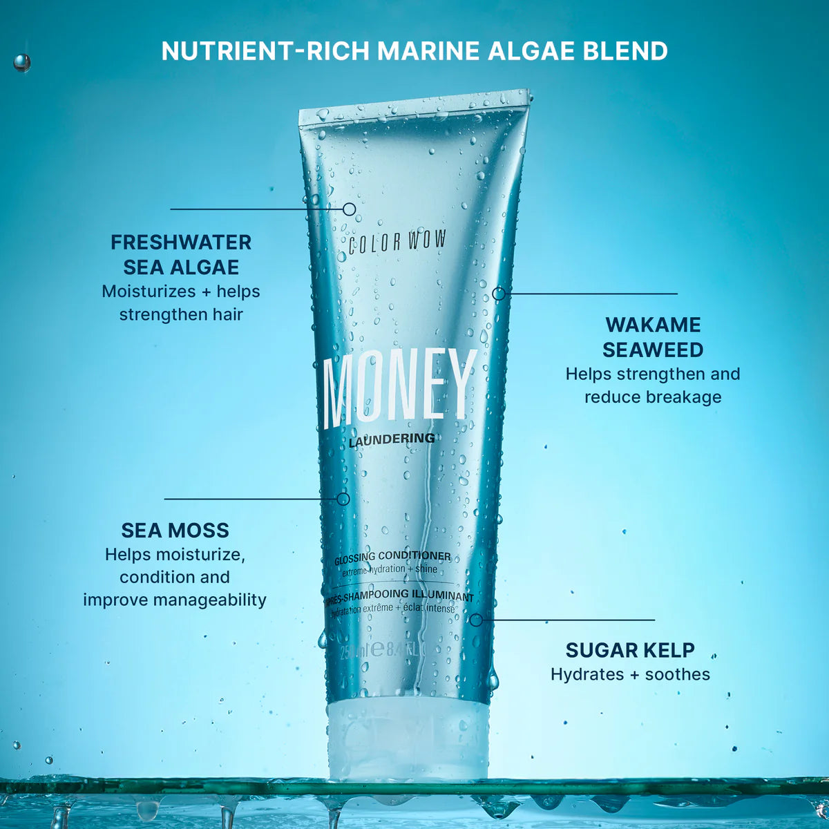 Money Laundering Glossing Conditioner