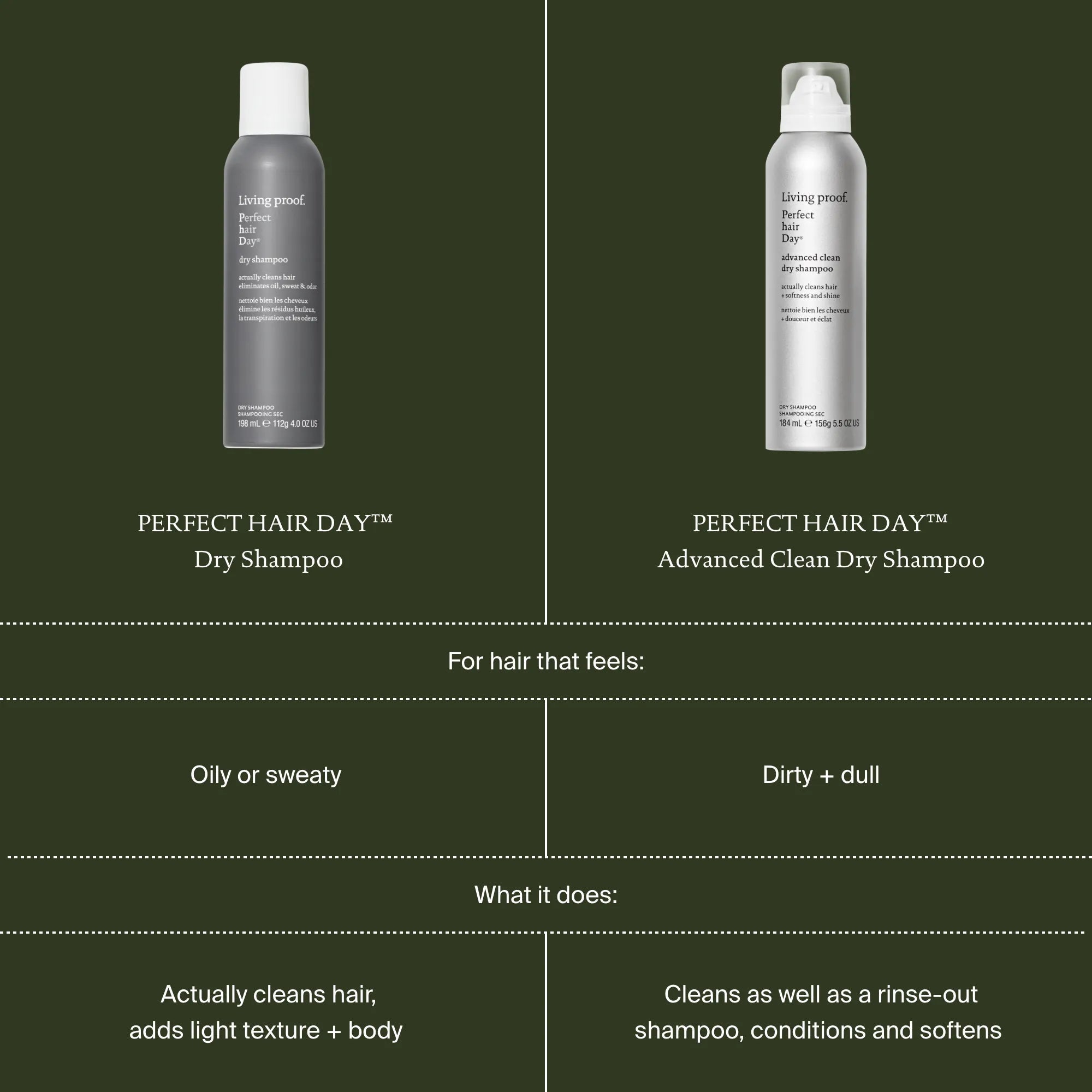 Perfect hair Day- Dry Shampoo