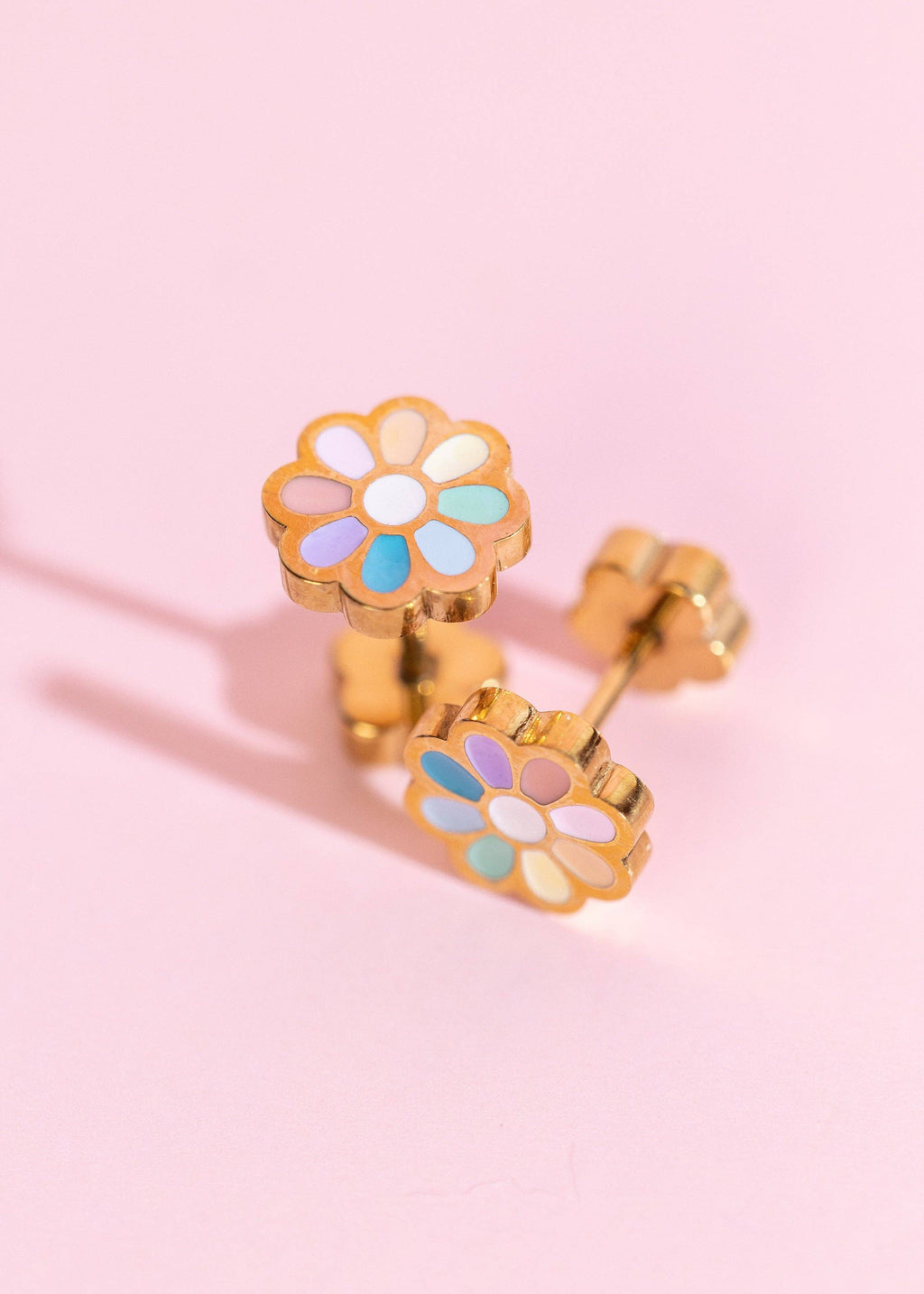 Rainbow Daisy